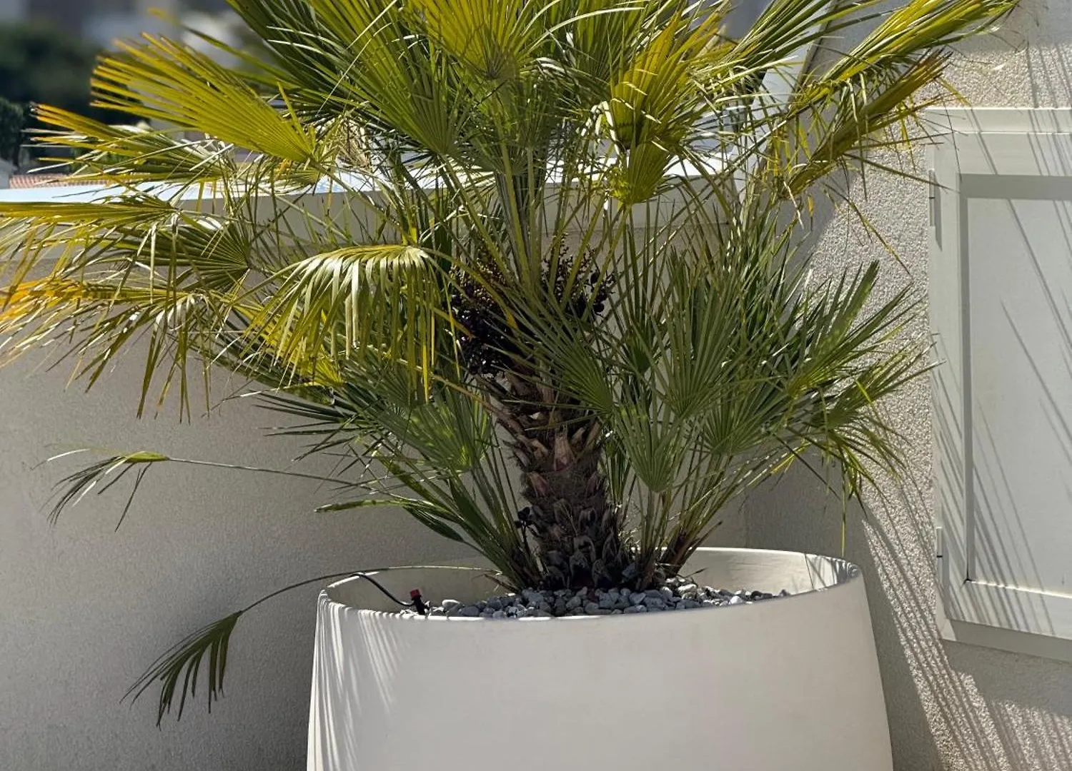 Attico Sole Appartement Lido di Jesolo Italië